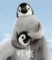 foxy online roulette Gulungan film yang diambil Jiang Yufeng dari kamera